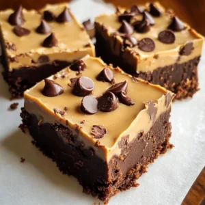 Delicious chocolate fudge squares on a plate, showcasing their rich texture.